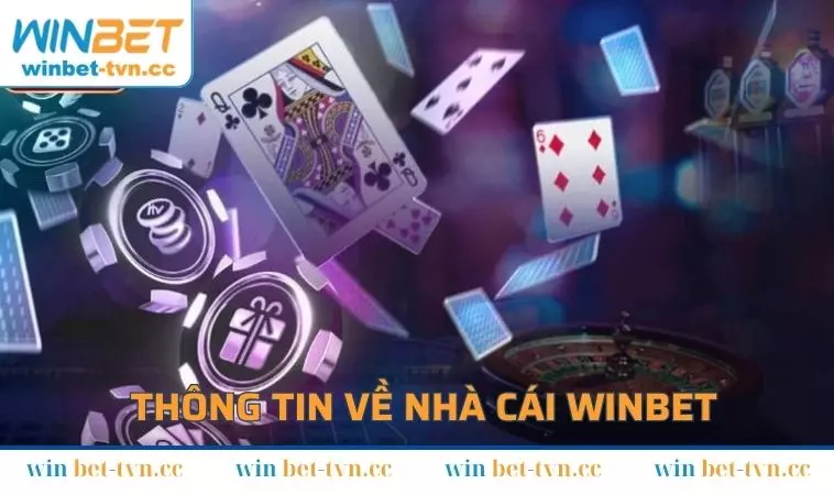 Tổng quan thông tin về giới thiệu WINBET