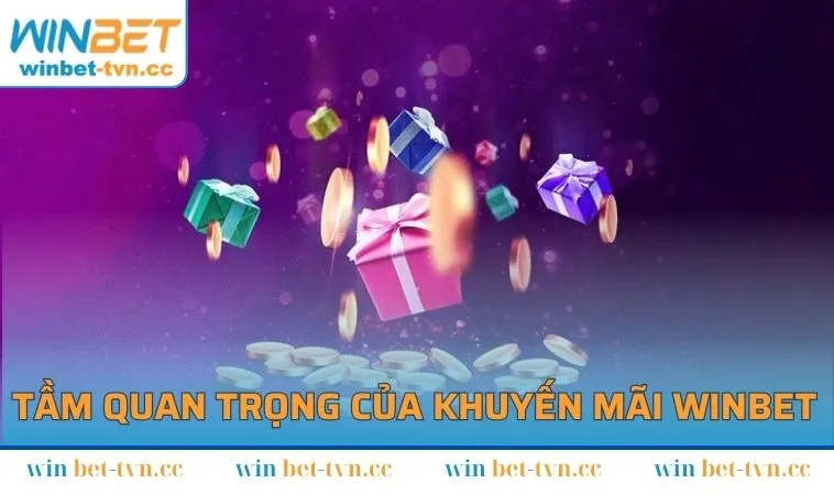 Tầm quan trọng của chương trình khuyến mãi tại WINBET