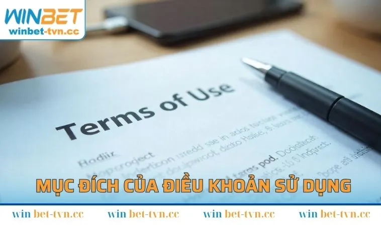 Mục đích của việc ban hành điều khoản sử dụng